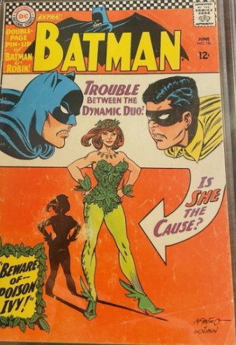 *Used* Batman Trouble between the dynamic duo